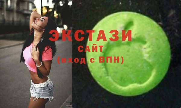 spice Богородицк